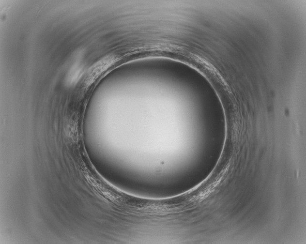 X0000060800977200511141435