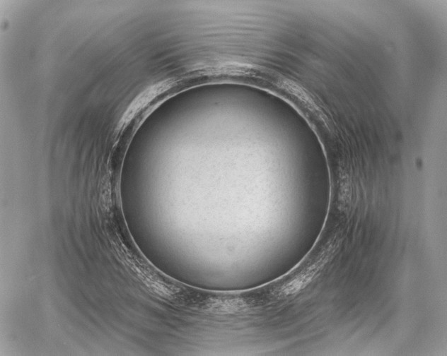 X0000060800978200511141435