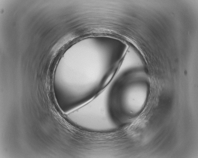 X0000060800979200511141435