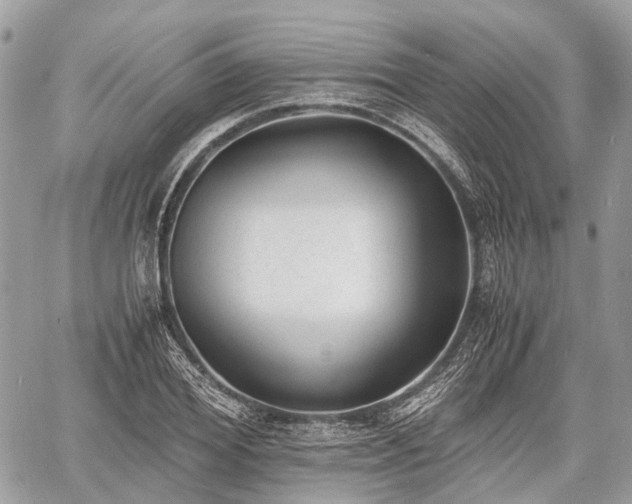 X0000060800980200511141435