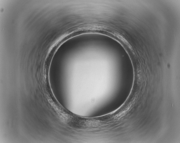 X0000060800981200511141435