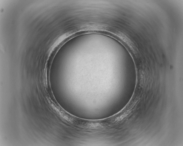 X0000060800982200511141435