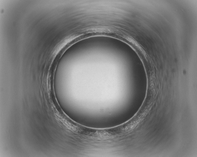 X0000060800983200511141435