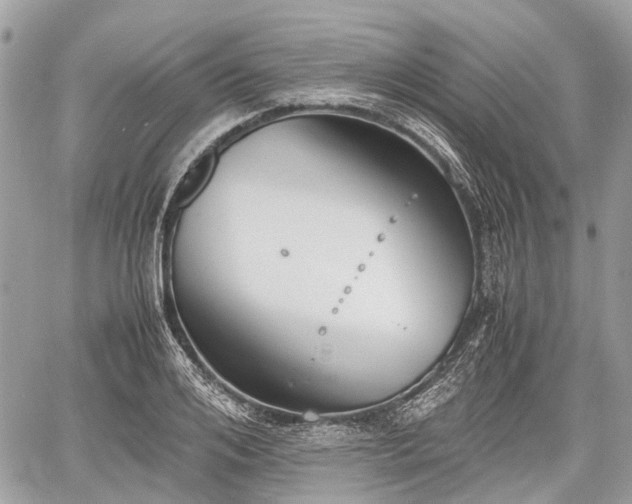 X0000060800984200511141435