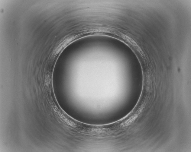 X0000060800985200511141435