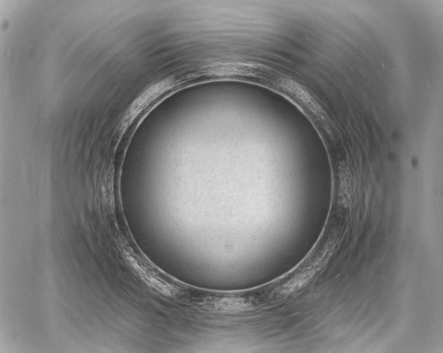 X0000060800986200511141435