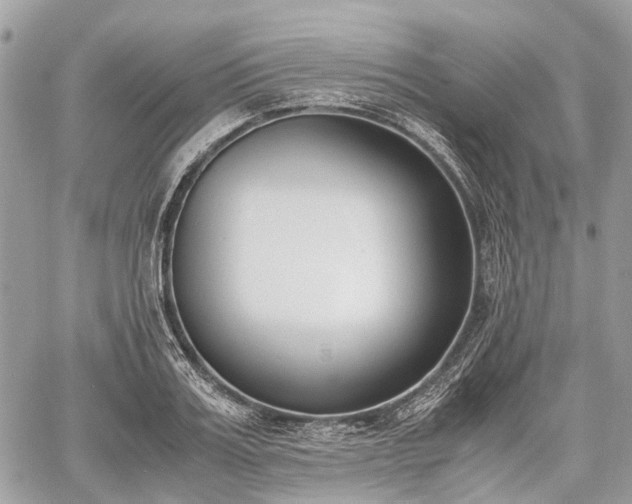 X0000060800987200511141435