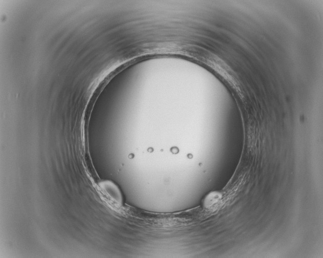 X0000060800988200511141435