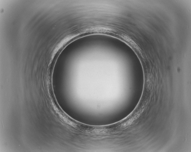 X0000060800989200511141435