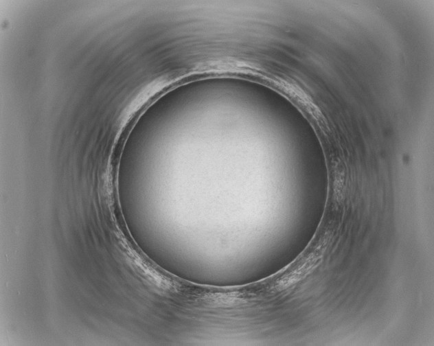 X0000060800990200511141435