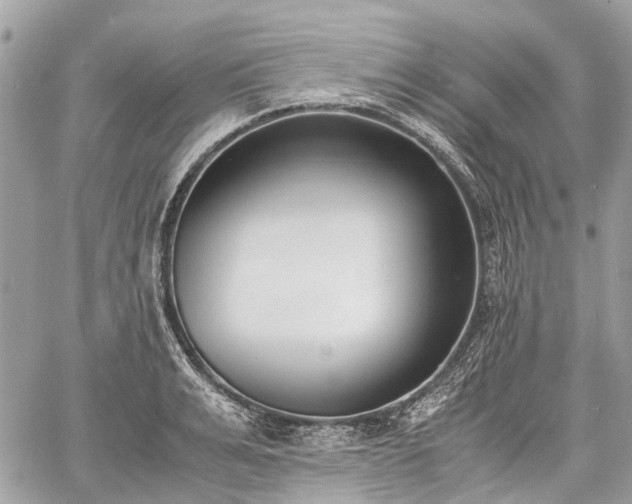 X0000060800991200511141435