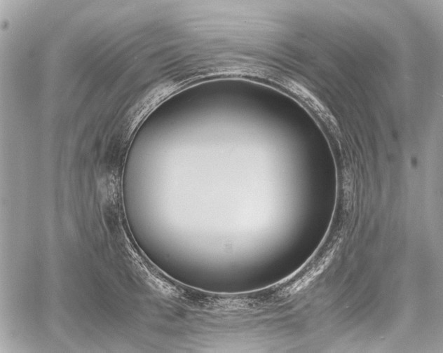 X0000060800993200511141435