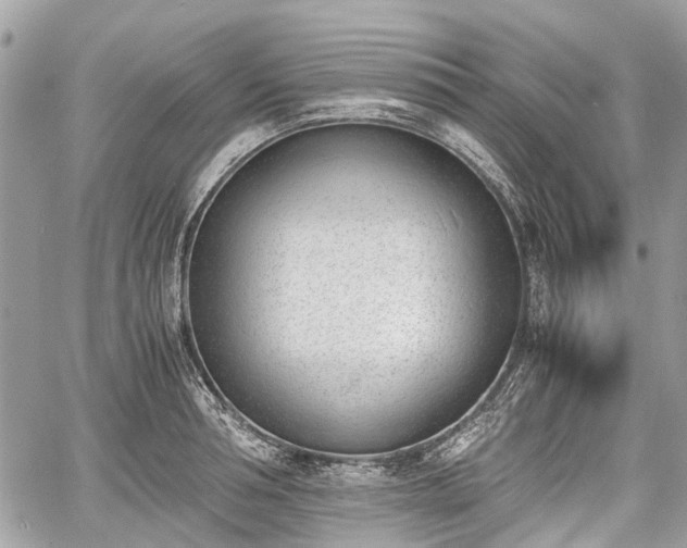 X0000060800994200511141435