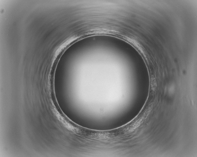 X0000060800995200511141435