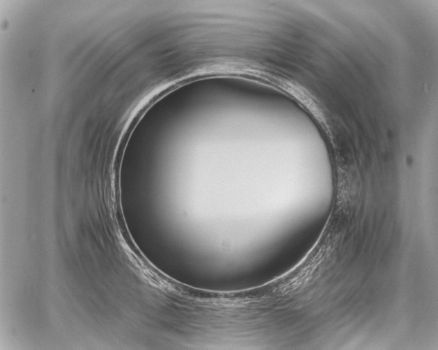 X0000060800996200511141435