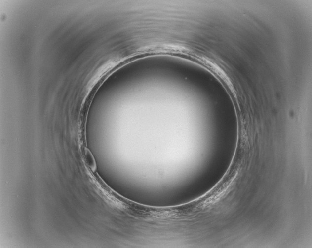 X0000060800997200511141435