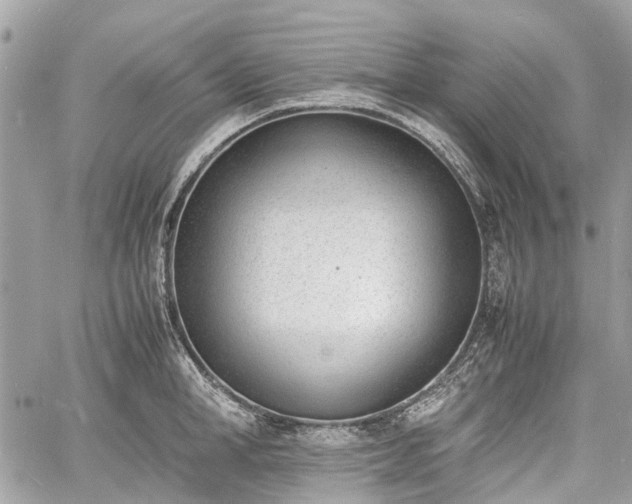 X0000060800998200511141435