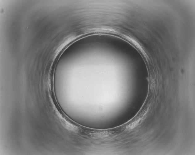 X0000060800999200511141435