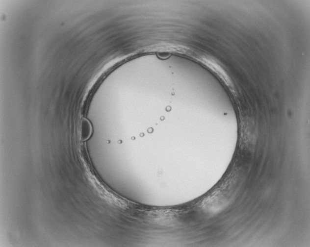 X0000060801000200511141435