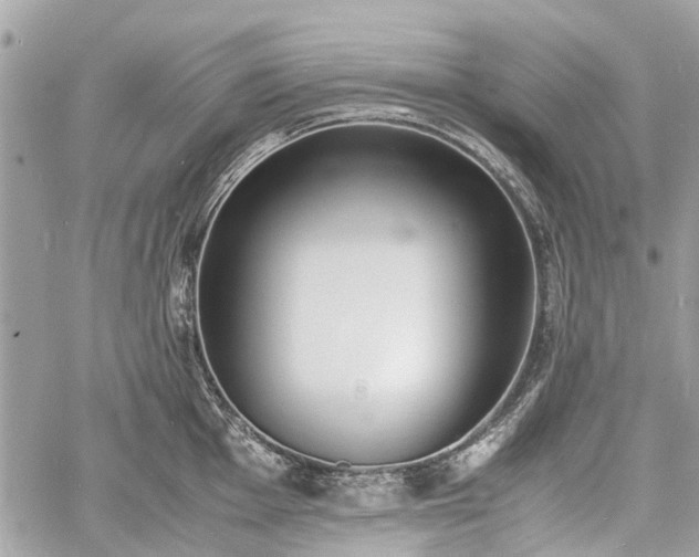 X0000060801001200511141435