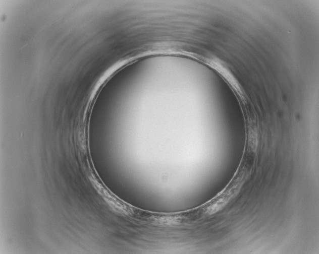 X0000060801004200511141435