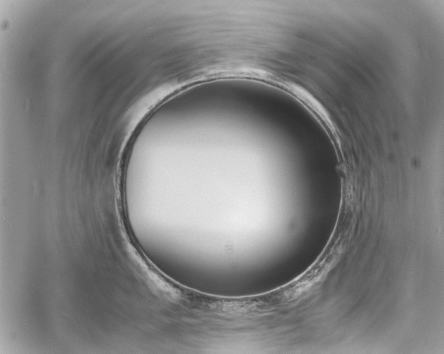 X0000060801005200511141435