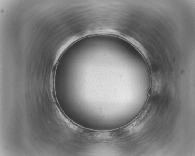 X0000060801006200511141435