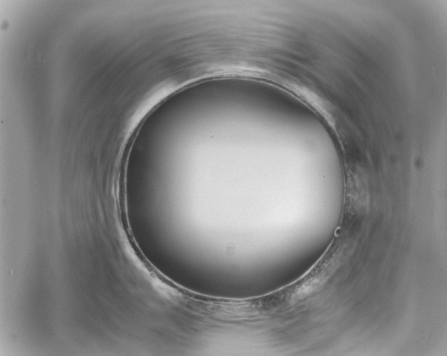 X0000060801007200511141435