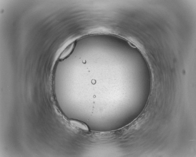 X0000060801008200511141435