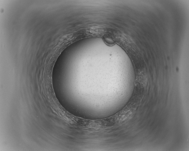 X0000060801009200511141434