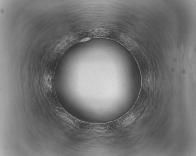 X0000060801010200511141434