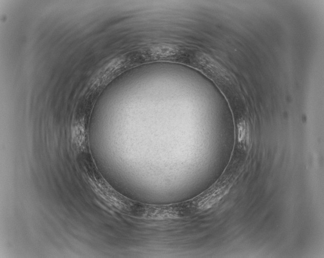 X0000060801011200511141434