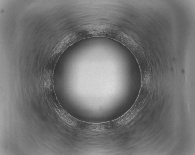 X0000060801012200511141434