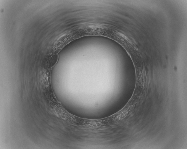 X0000060801013200511141434