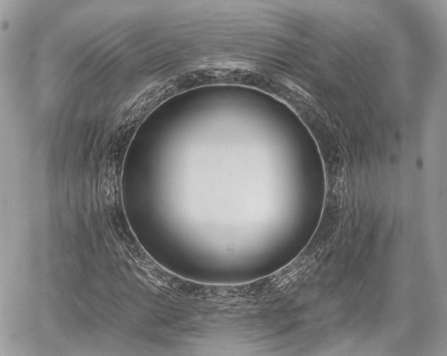 X0000060801014200511141434