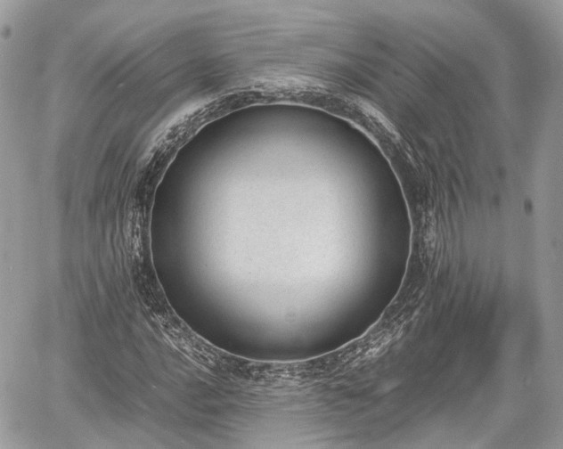 X0000060801016200511141434