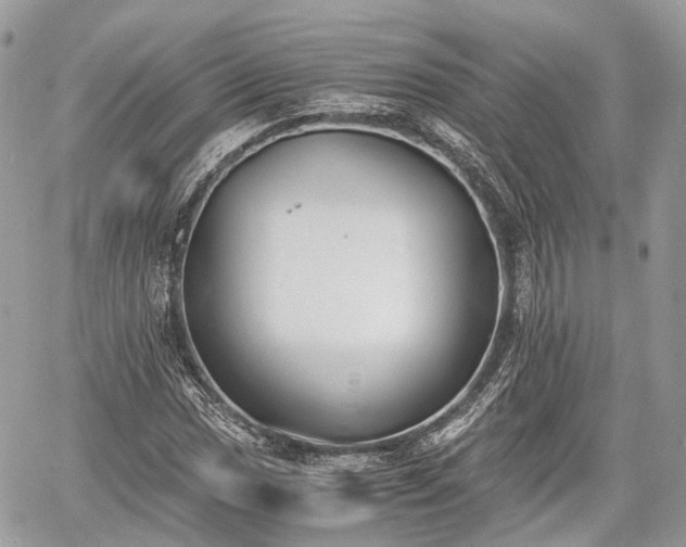 X0000060801017200511141434