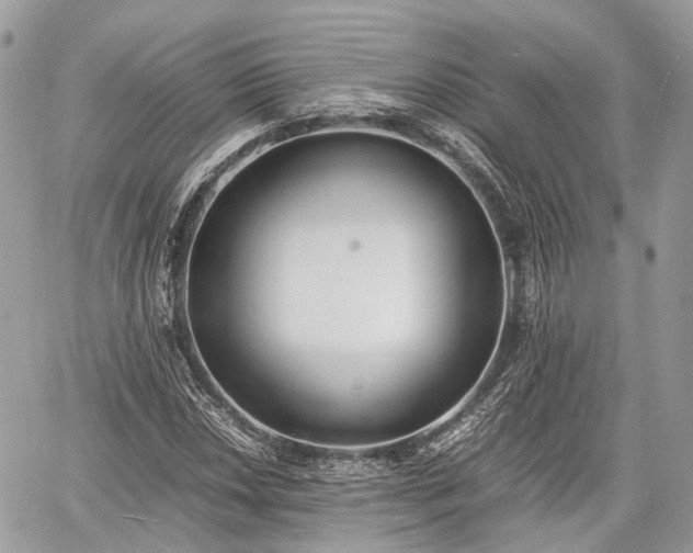 X0000060801018200511141434