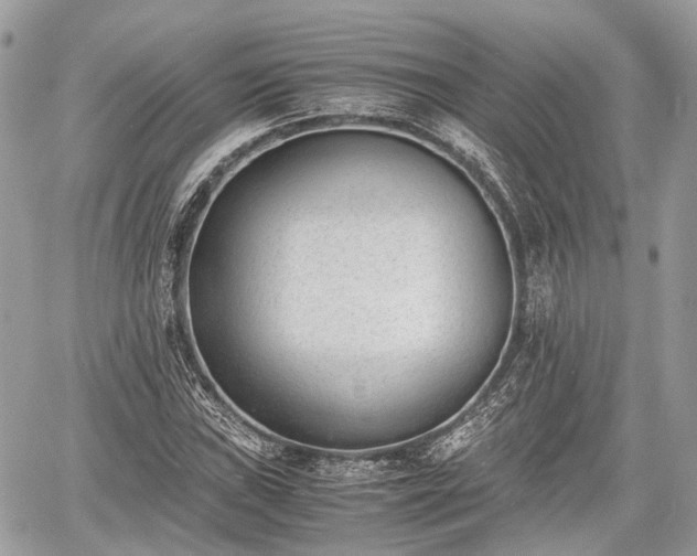 X0000060801019200511141434