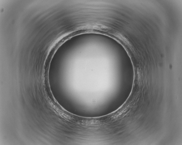 X0000060801020200511141434