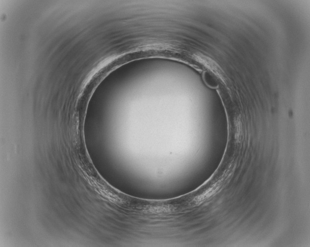 X0000060801021200511141434