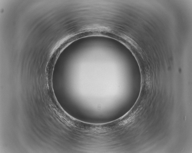 X0000060801022200511141434