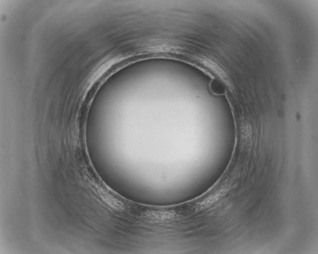 X0000060801023200511141434