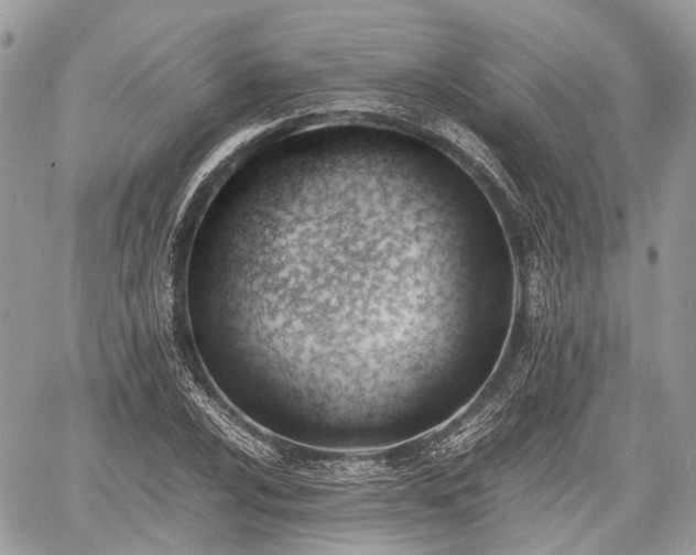 X0000060801024200511141434