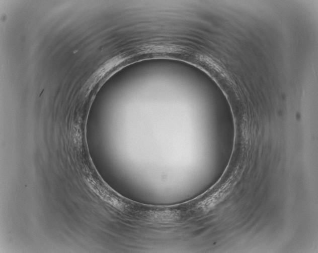 X0000060801025200511141434