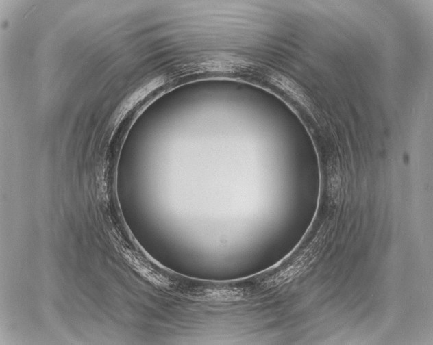 X0000060801026200511141434