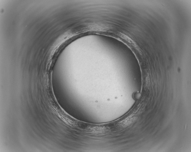 X0000060801027200511141434