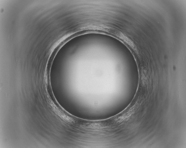 X0000060801028200511141434