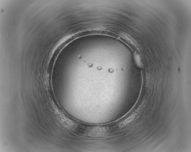 X0000060801029200511141434