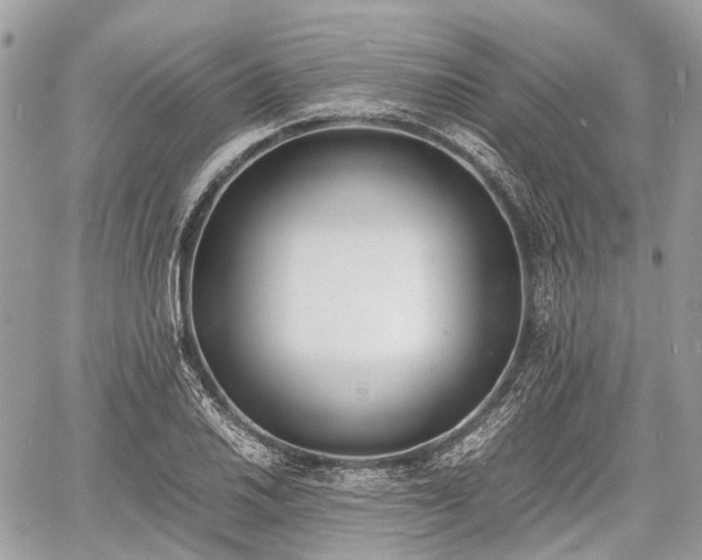 X0000060801030200511141434